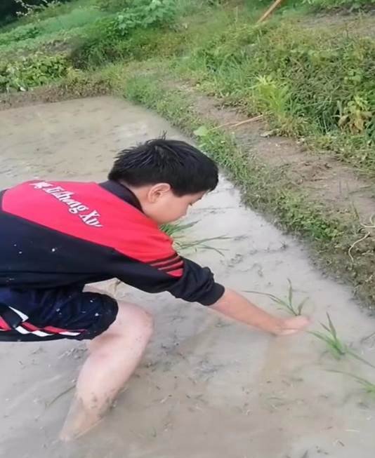 “勞動(dòng)最光榮，奮斗最幸?！薄獧M溪初級(jí)中學(xué)勞動(dòng)教育運(yùn)動(dòng)報(bào)道