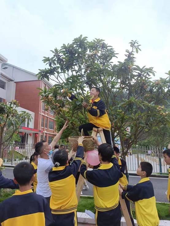 農(nóng)療康復(fù)身心健，共賞枇杷一樹(shù)金——邵陽(yáng)縣特別教育黌舍成功舉辦枇杷文化節(jié)