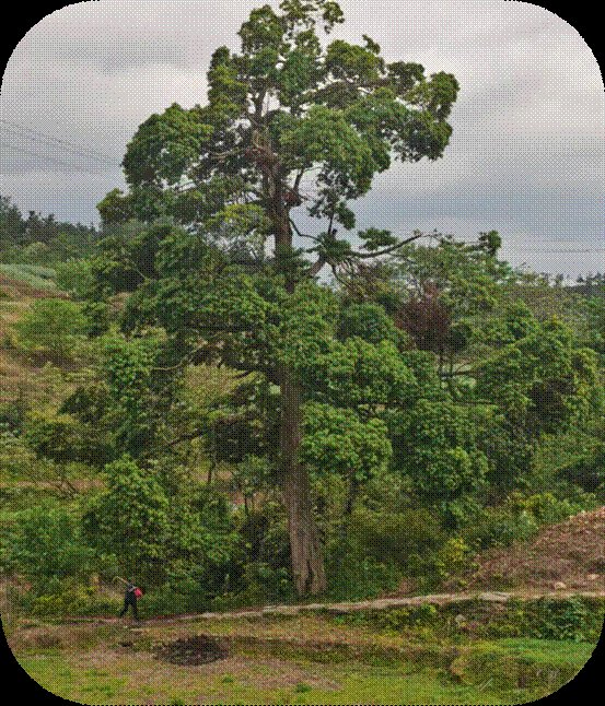 愛(ài)惜生命，預(yù)防溺水——黃塘大禾里黌舍防溺水“千師訪萬(wàn)戶(hù)”運(yùn)動(dòng)