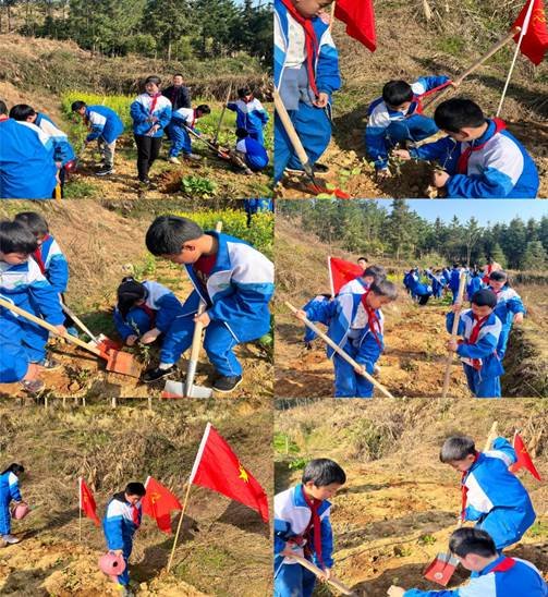 種一棵小樹(shù)，凈一方綠土——金稱(chēng)市鎮(zhèn)中間完小3·12植樹(shù)運(yùn)動(dòng)