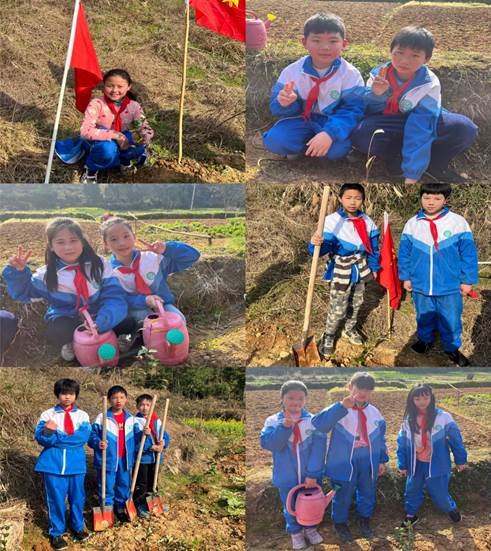 種一棵小樹(shù)，凈一方綠土——金稱(chēng)市鎮(zhèn)中間完小3·12植樹(shù)運(yùn)動(dòng)