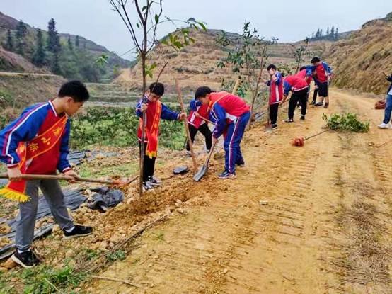 洞口縣花古中學(xué)開展任務(wù)植樹運動