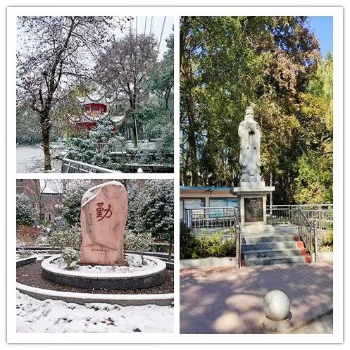 心系桑梓，崇文重教——新寧二中學(xué)子回饋母校小記