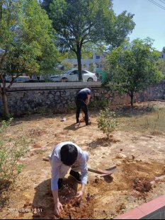 擁抱春天，播種綠色 新寧縣白沙鎮(zhèn)中間小學(xué)開展植樹節(jié)運(yùn)動(dòng)