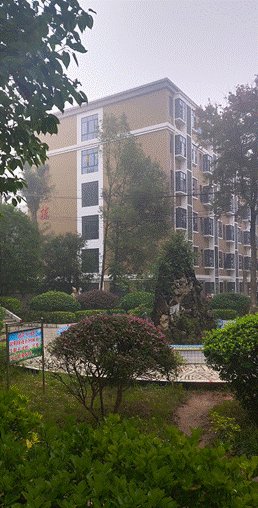 我在新寧二中當(dāng)實(shí)習(xí)教師