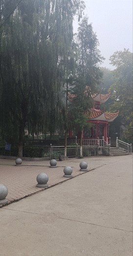 我在新寧二中當(dāng)實(shí)習(xí)教師