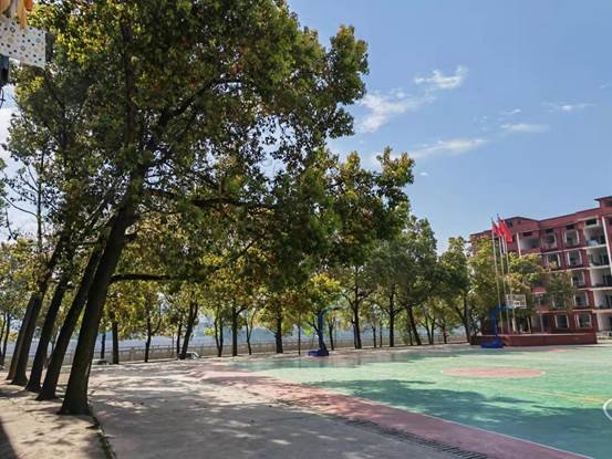 烈士墳塋心長存，寄哀何用入山林——金稱市鎮(zhèn)中學(xué)2022年清明網(wǎng)上祭奠英烈運動