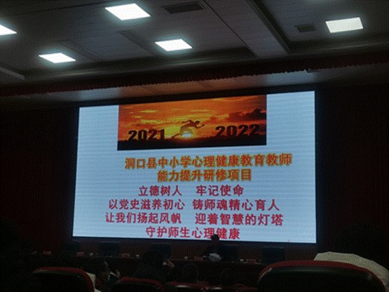 以心育心，樹心樹形——洞口縣中小學(xué)生理健康教育教師能力提拔培訓(xùn)班