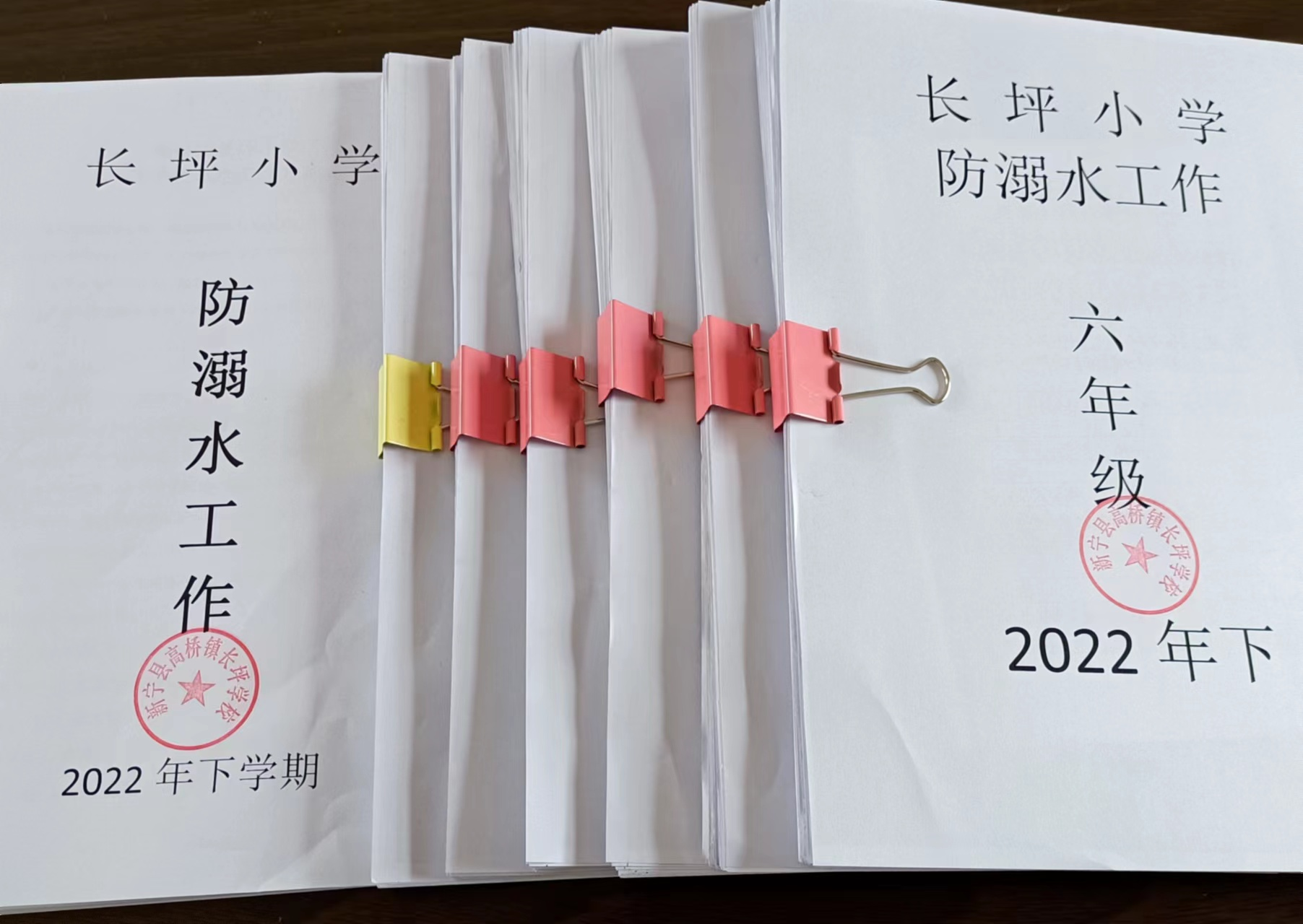 珍愛生命 預(yù)防溺水  ——新寧縣高橋鎮(zhèn)長坪小學(xué)開展防溺水宣傳教育活動