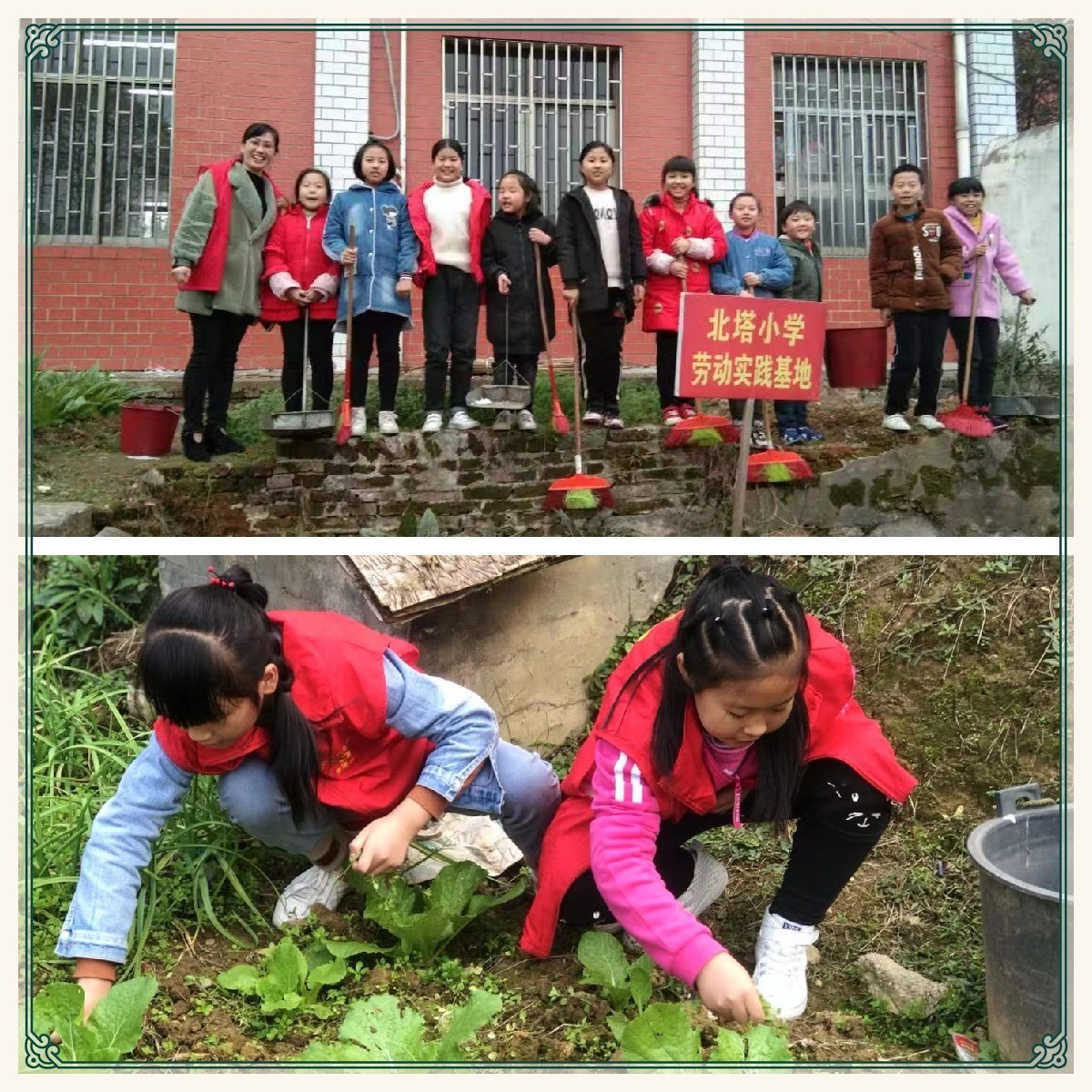 課后服務(wù)促發(fā)展  特色課程綻芬芳