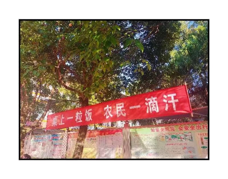 解放小學(xué)熱烈慶祝第42個(gè)世界糧食日