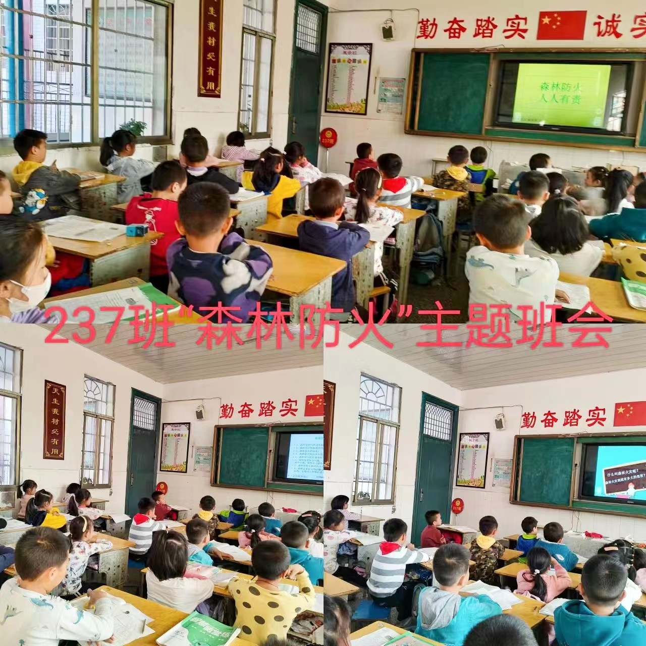 武岡市紅星小學開展森林防火主題班會活動