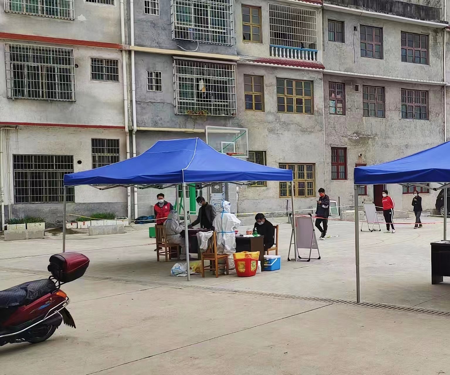 師者逆行，疫往無前