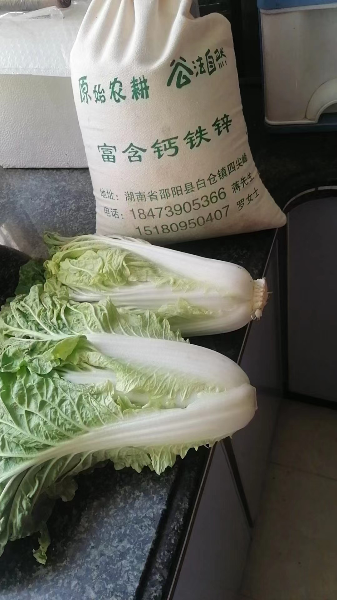 黨員身先士卒，師生齊心抗疫