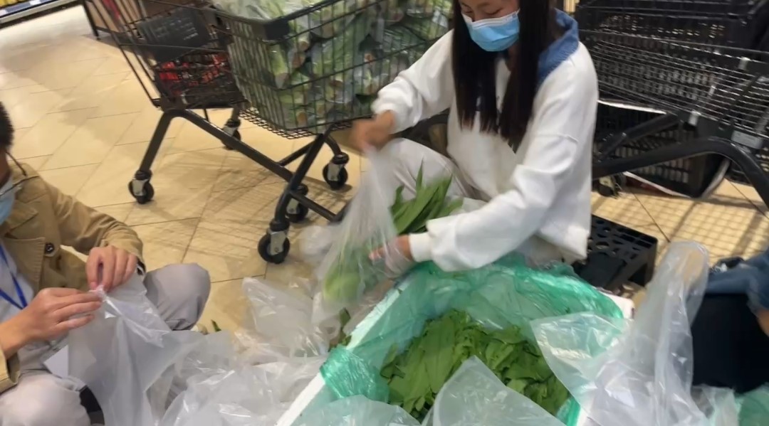 志愿逆行淬黨性，以身立教顯師志