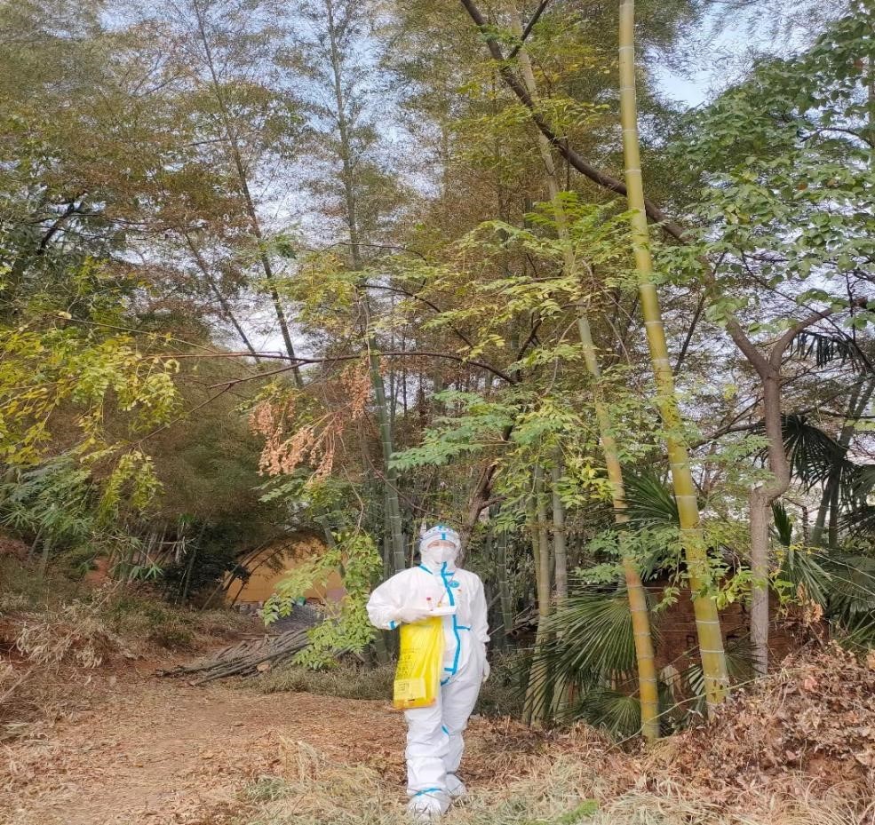 志愿逆行戰(zhàn)疫情 師者大愛勇?lián)?dāng)