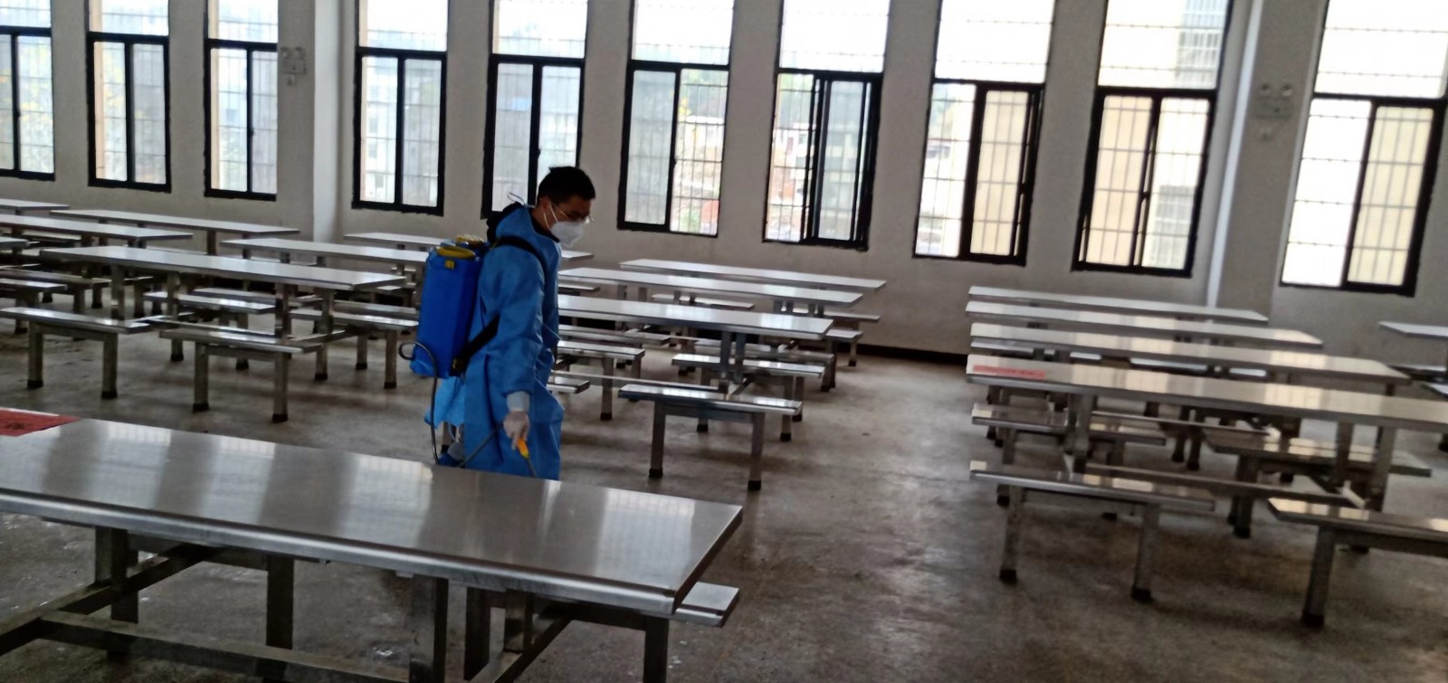 全面消殺，“凈”待歸來