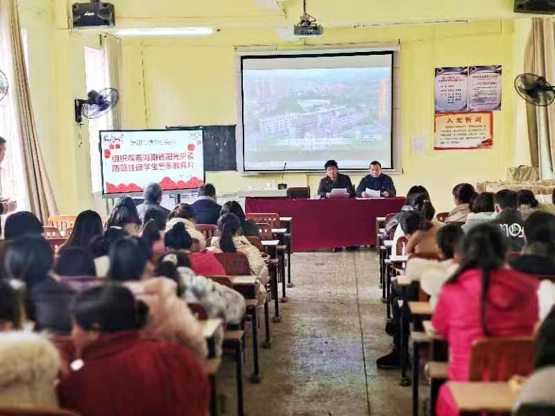 組織觀看《陽光護(hù)蕾——湖南省防范性侵學(xué)生警示教育片》