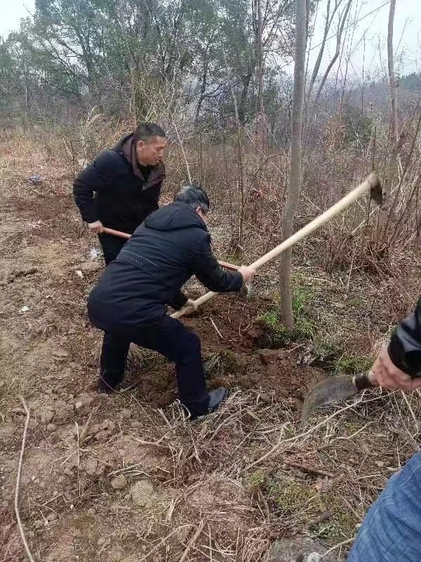 春意盎然 播種正當(dāng)時(shí)