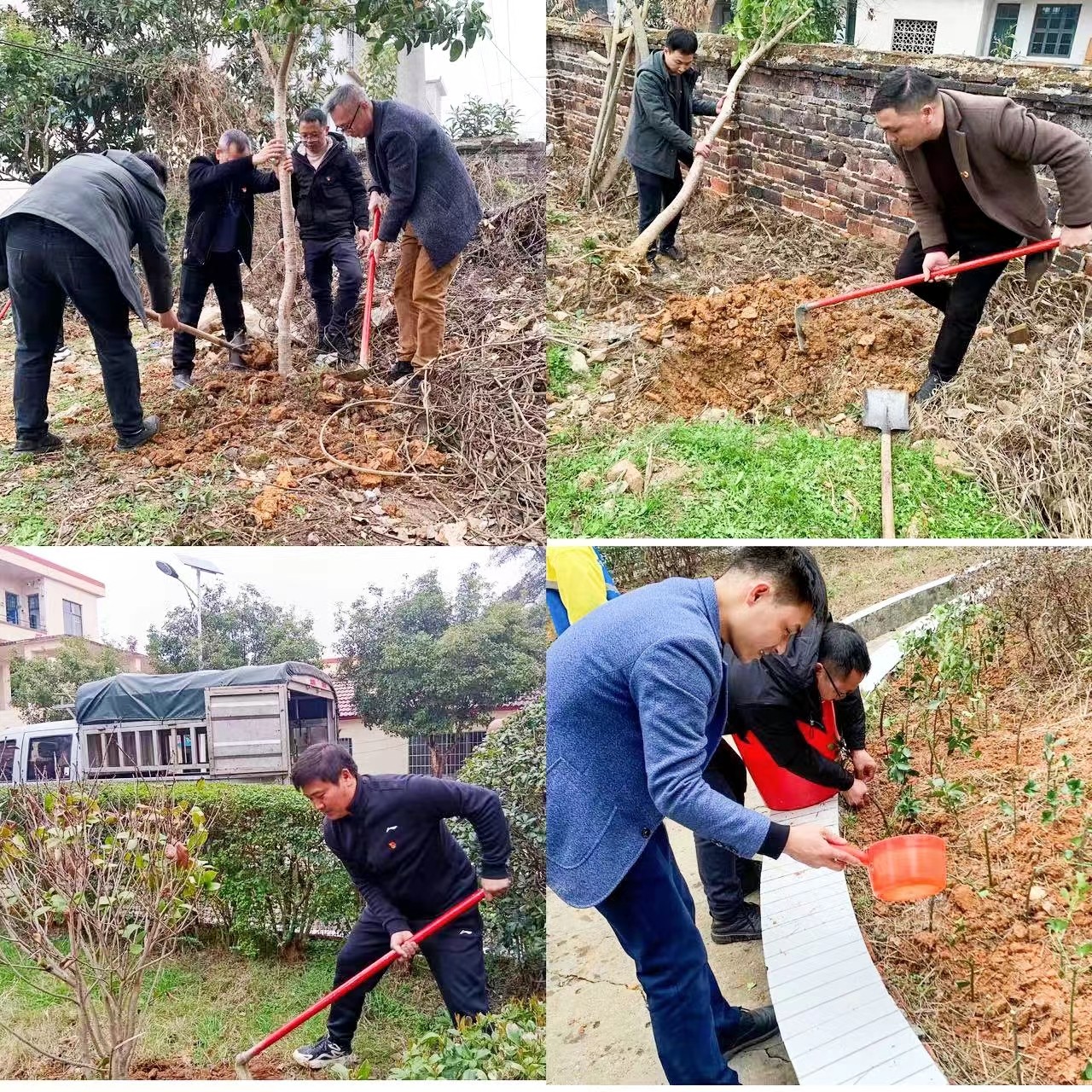 樹綠色理想,建綠色校園