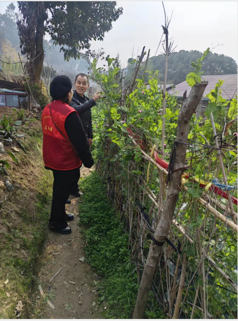 湖南辰溪：開展“鏟除毒品 造福人民”踏查宣傳