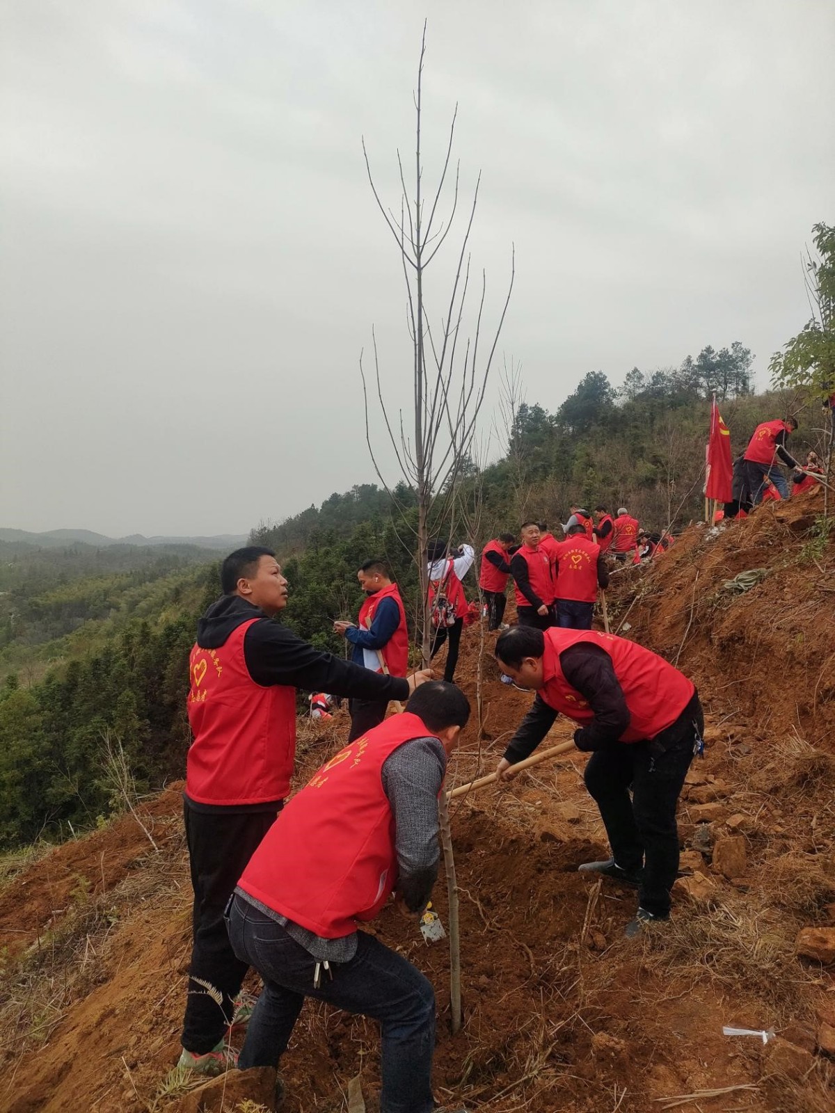邵陽(yáng)縣塘渡口中學(xué)黨支部開(kāi)展義務(wù)植樹(shù)活動(dòng)