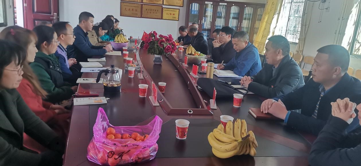 校際交流促提升 互學(xué)互促共成長(zhǎng)