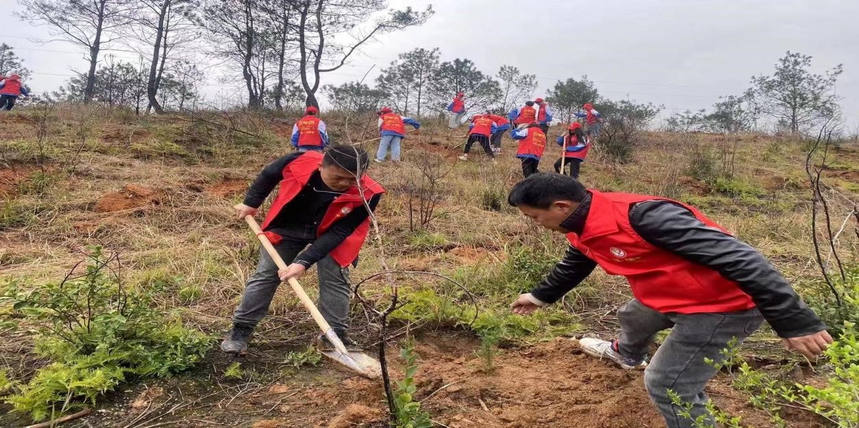 寧遠二中第四黨支部  黨員義務(wù)植樹 為山林再添新綠