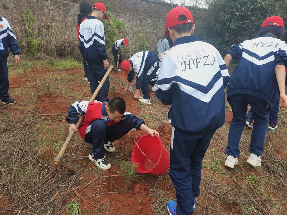 【永州】我為城市添新綠 黨建引領(lǐng)踐初心
