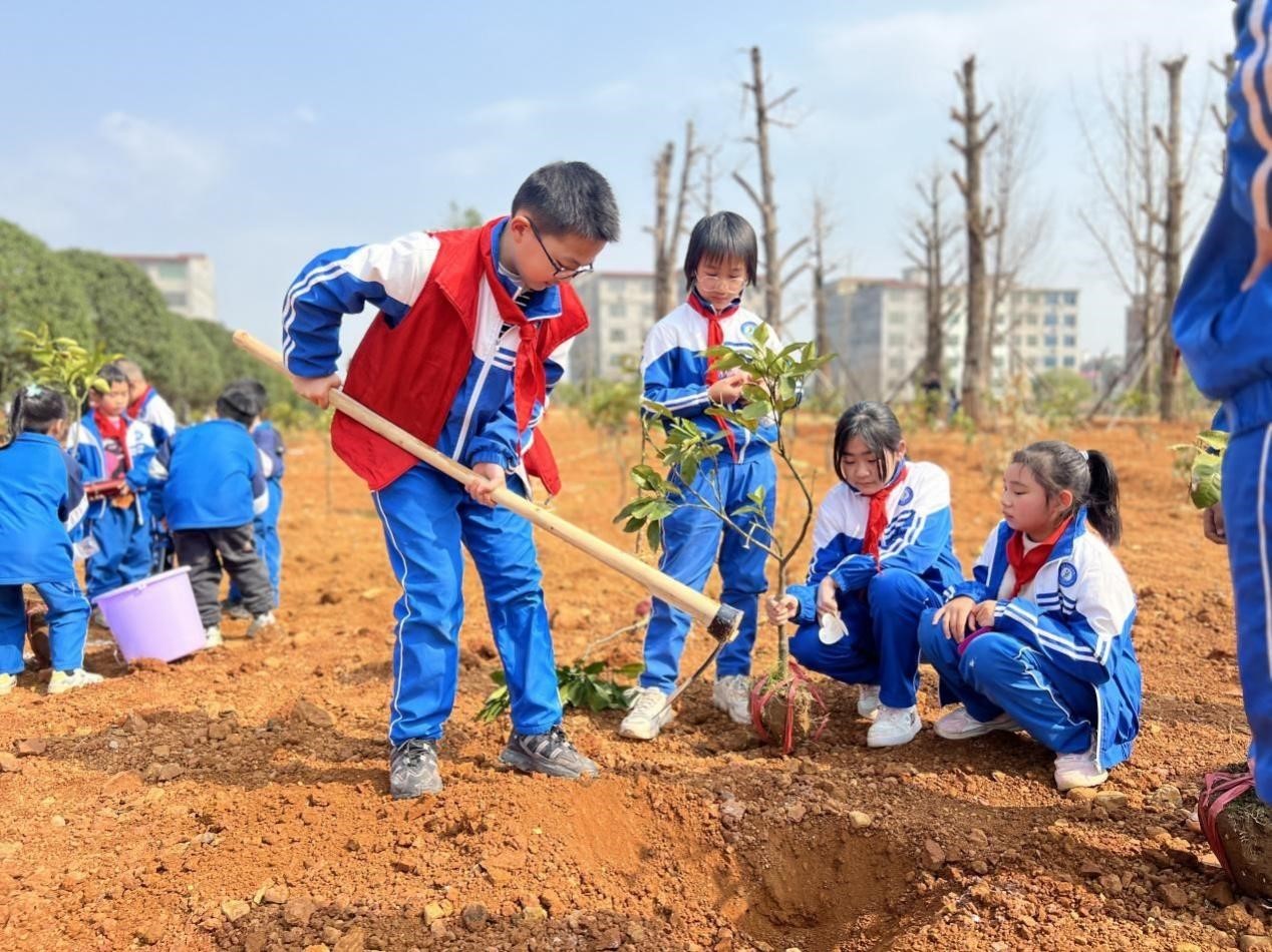 “植”于心“樹”未來 一起保護(hù)綠色地球
