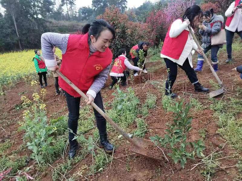 不負(fù)春光添新綠，陽(yáng)春三月植樹(shù)忙