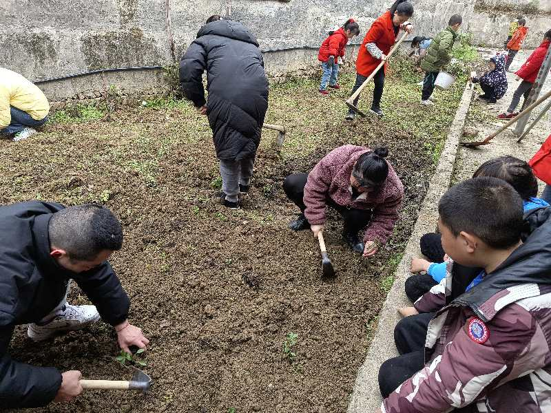 塘渡口鎮(zhèn)塔水橋小學(xué)開展實踐勞動課