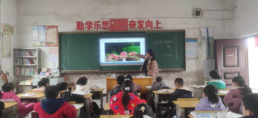 珍愛生命,拒食毒蘑菇