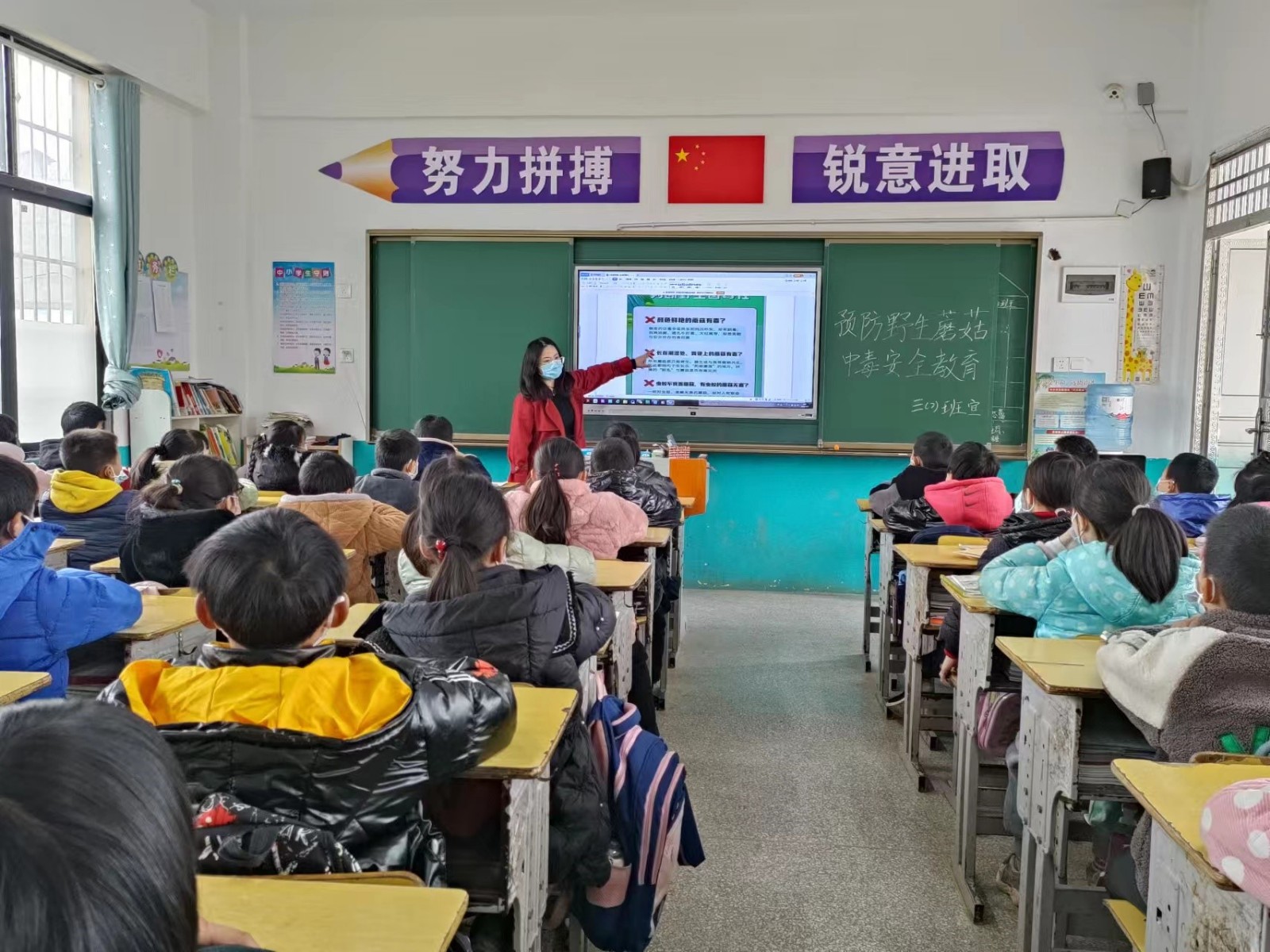 珍愛生命 遠(yuǎn)離毒菇