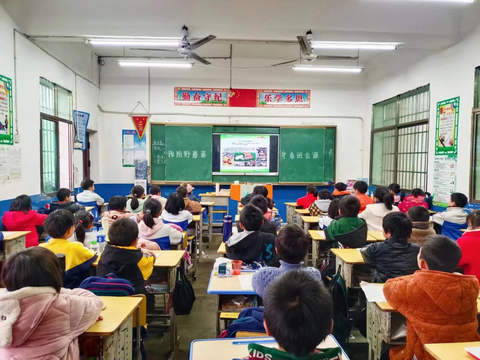 塘田市鎮(zhèn)中心完全小學(xué)預(yù)防食用野生蘑菇中毒宣傳教育
