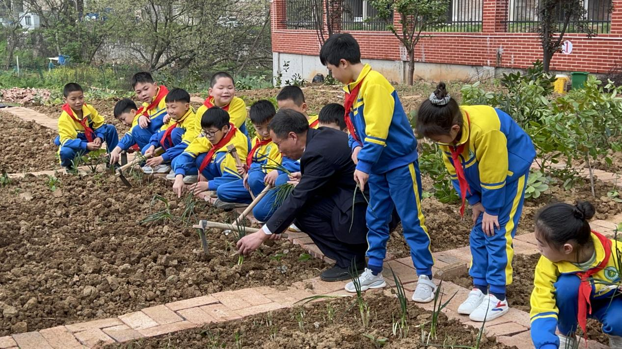 深耕“五育”并舉 厚植勞動(dòng)情懷