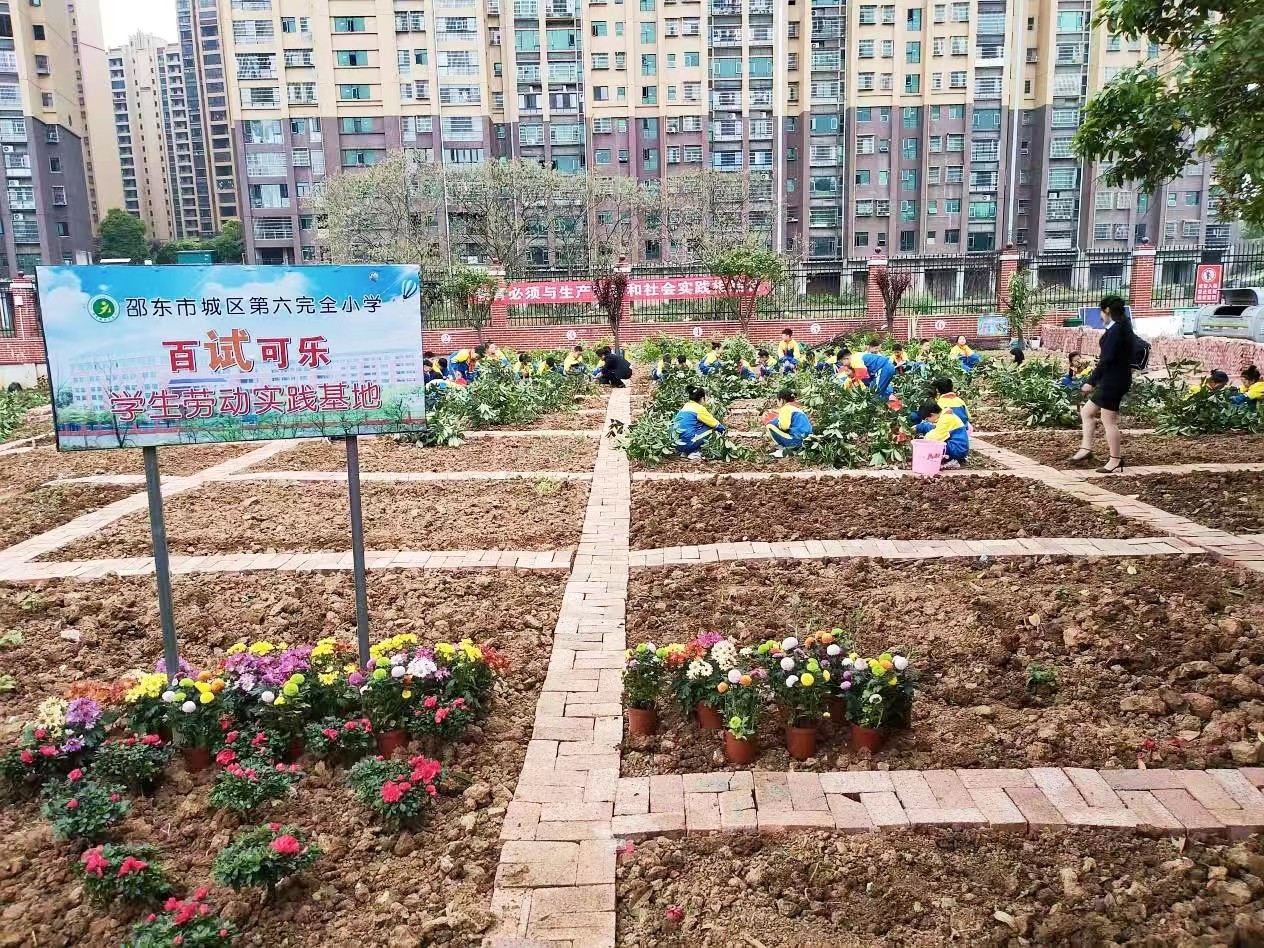 深耕“五育”并舉 厚植勞動(dòng)情懷