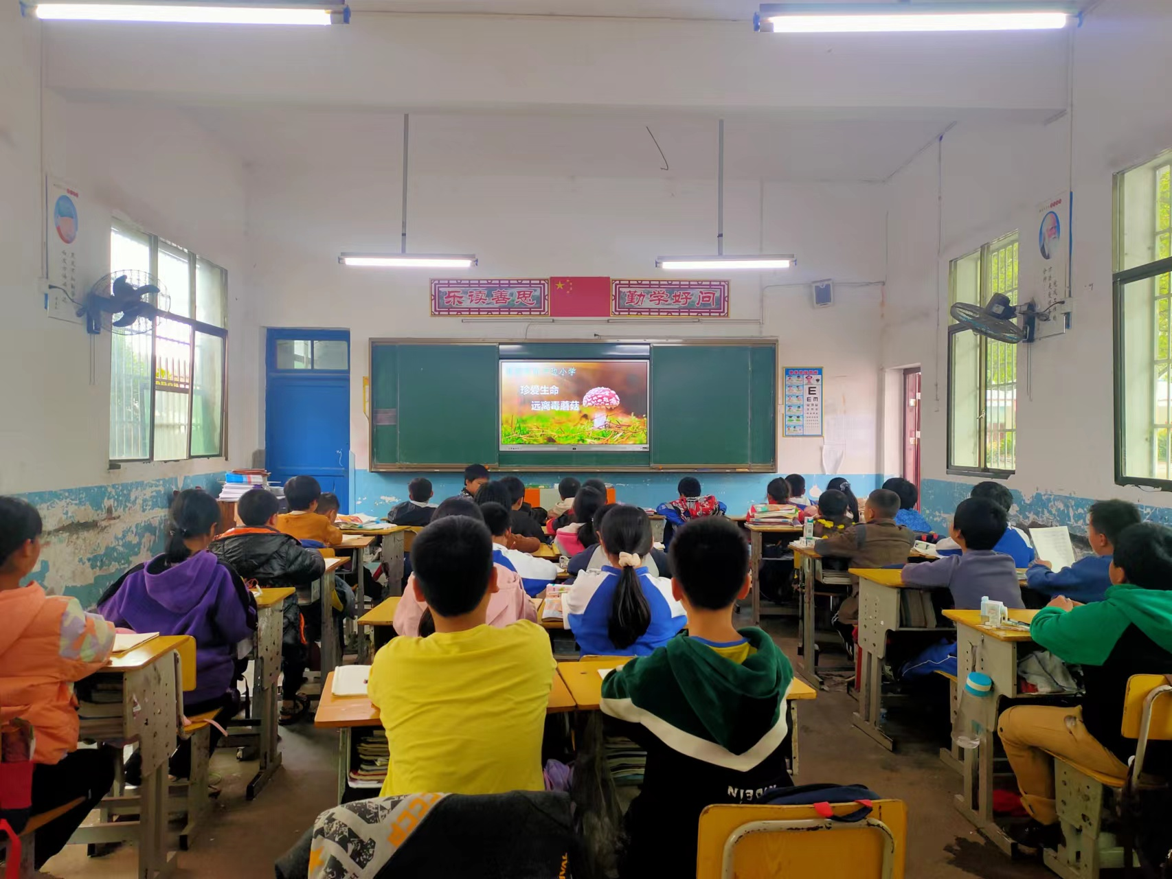 河邊小學開展預防毒蘑菇安全教育