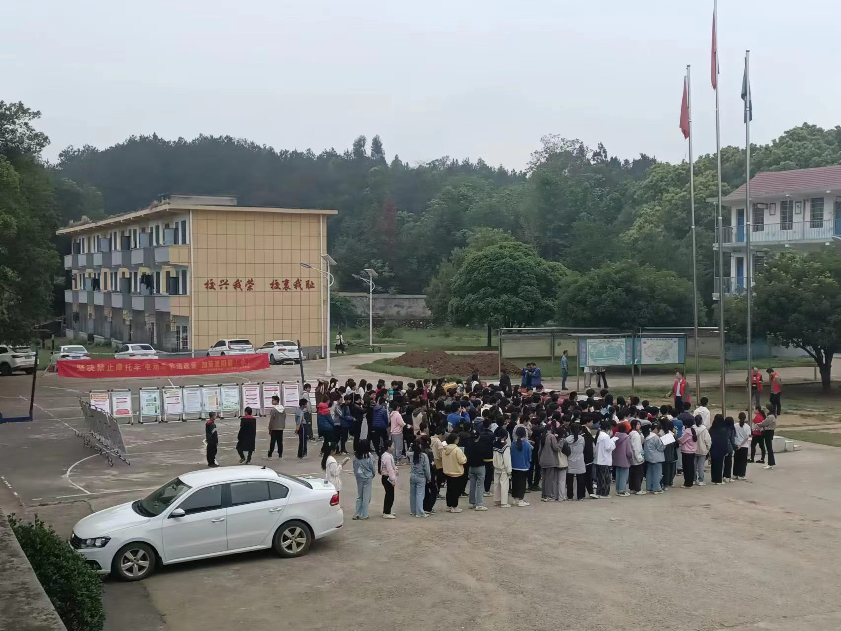 筑安全鐵網(wǎng) 護(hù)花蕾成長