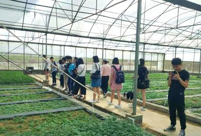 金稱市鎮(zhèn)中學(xué)開(kāi)展“勞動(dòng)美”社會(huì)實(shí)踐活動(dòng)