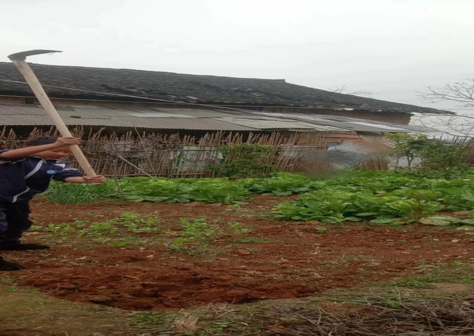 金稱市鎮(zhèn)中學(xué)開(kāi)展“勞動(dòng)美”社會(huì)實(shí)踐活動(dòng)