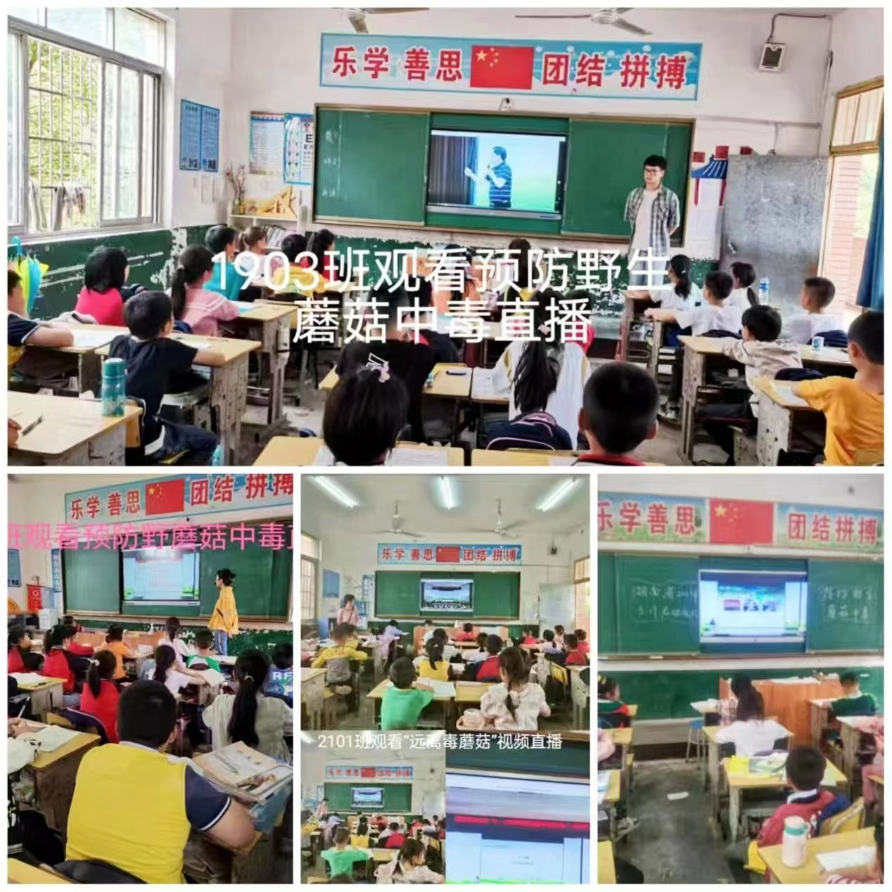 預(yù)防野生蘑菇中毒，守護(hù)校園安全