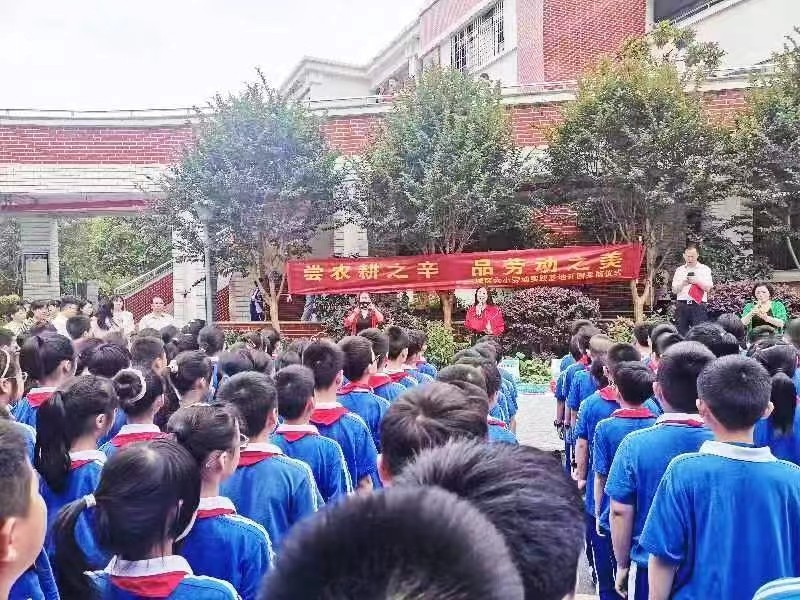 嘗農(nóng)耕之辛 品勞動之美