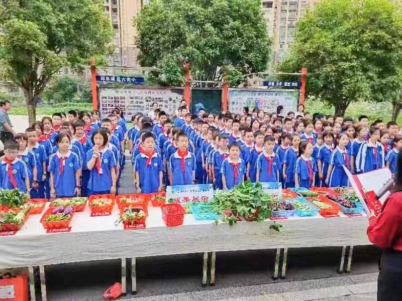 嘗農(nóng)耕之辛 品勞動之美