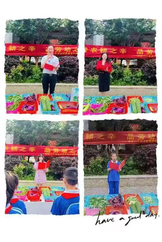 嘗農(nóng)耕之辛 品勞動之美