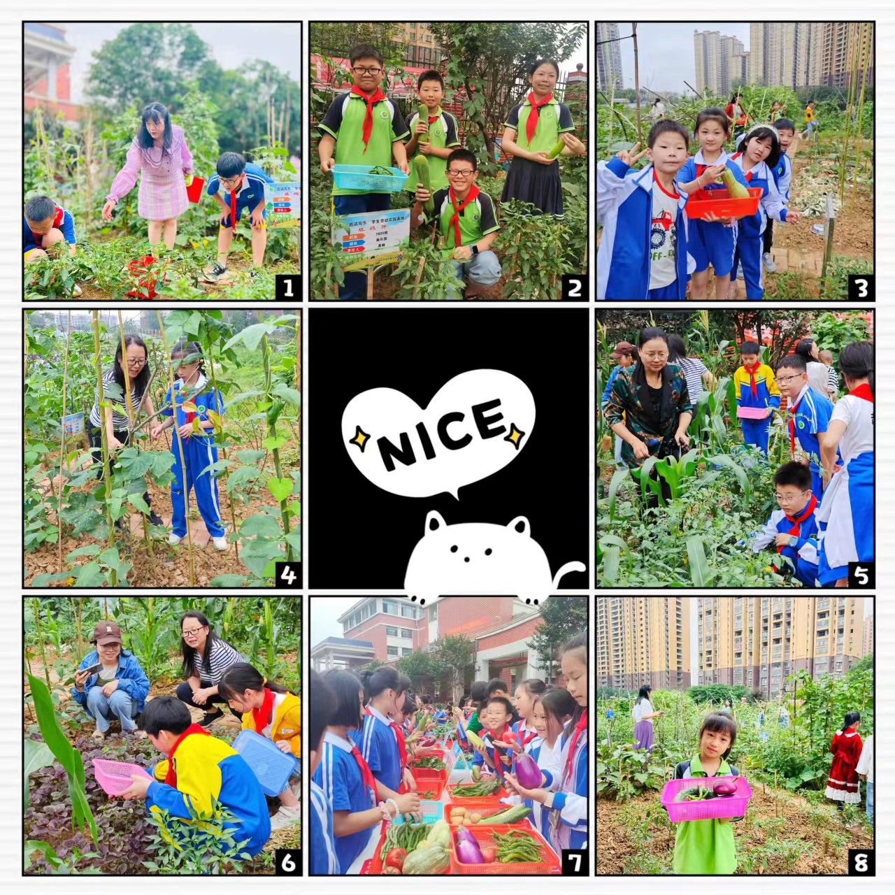 嘗農(nóng)耕之辛 品勞動之美