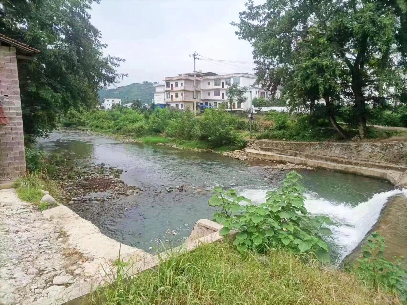 開展義務(wù)巡查，為安全保駕護(hù)航