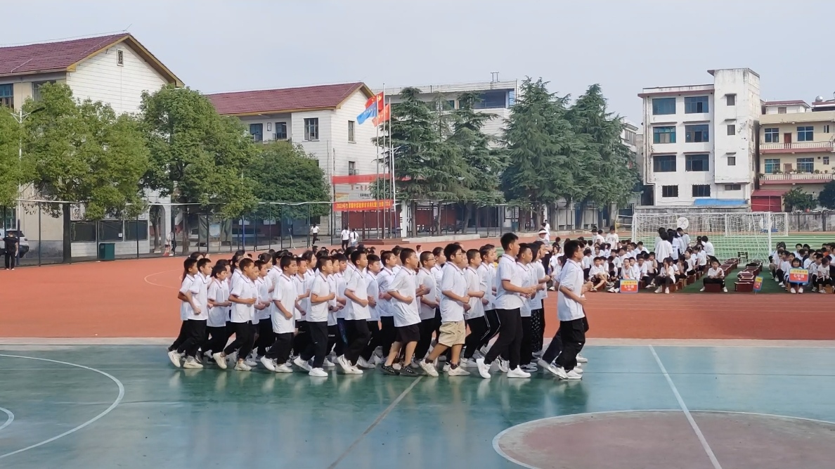 雛鷹展翅迎風(fēng)而上