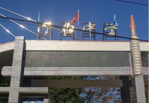 教研助成長，交流綻芳華