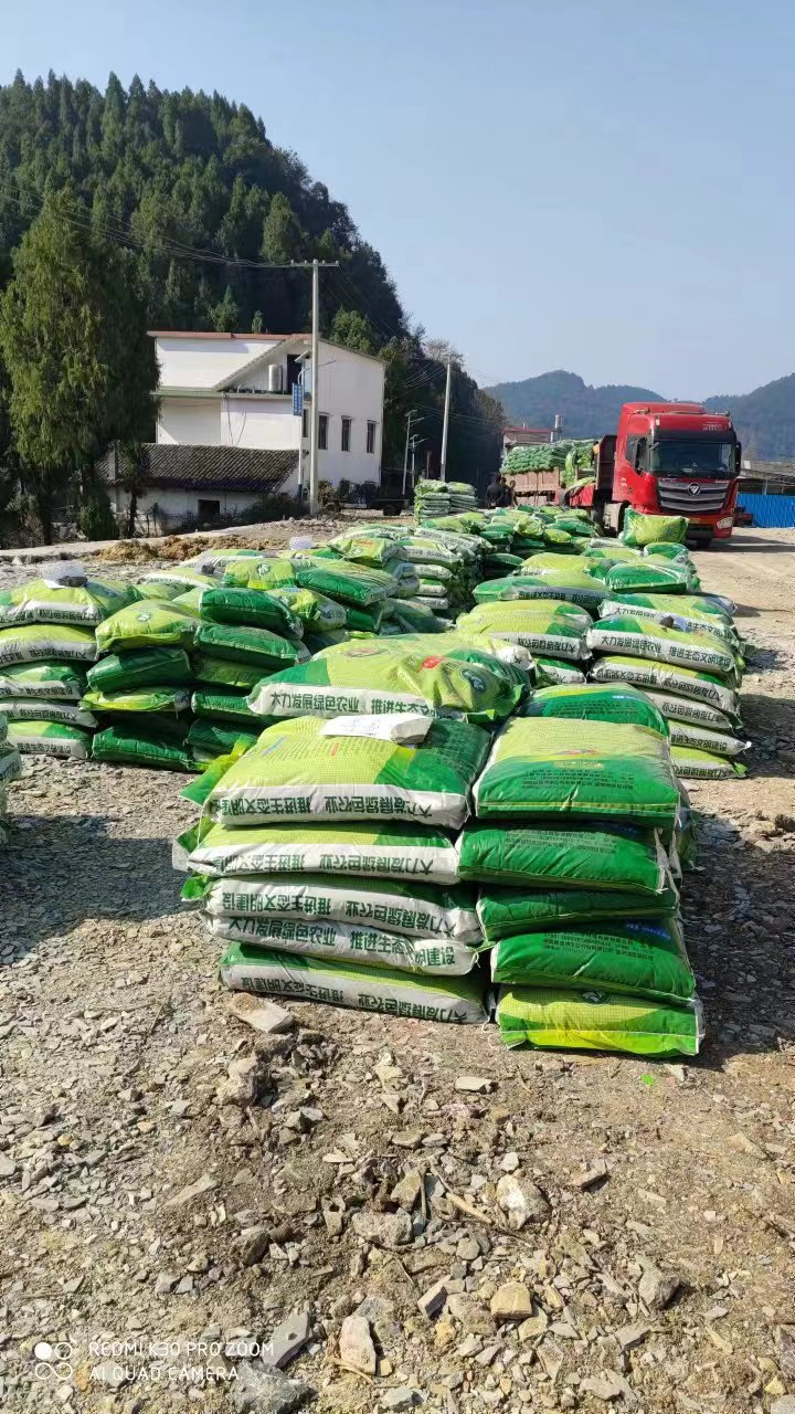 放飛青春夢想 助力鄉(xiāng)村振興